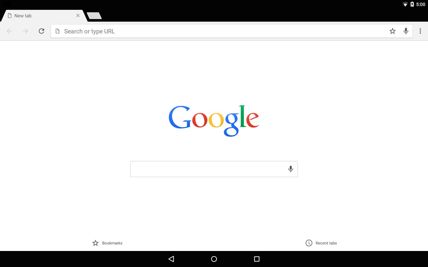 Google Chrome 4.0